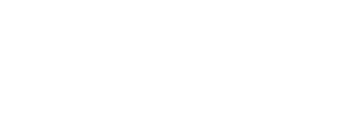 VISA logo in white